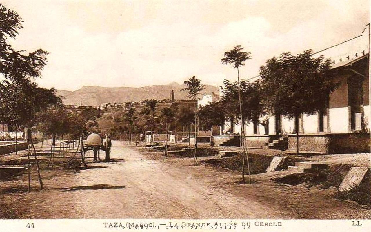 BIVEN Georges Georges -710- Taza.jpg
